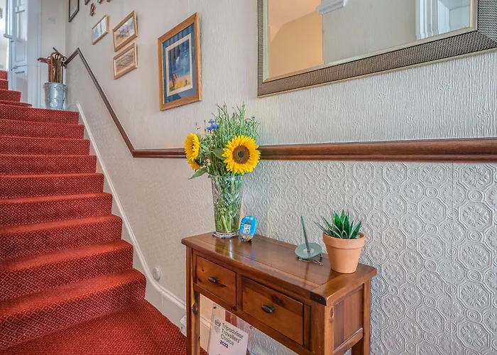 Blue Swallow Bed & Breakfast