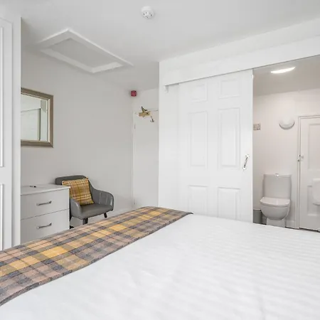 Blue Swallow פנרית'