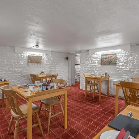 Blue Swallow פנרית'